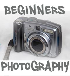 Beginners Photography