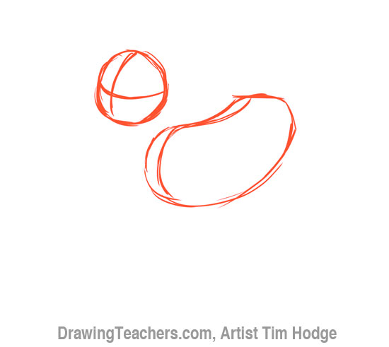 How to Draw a Cartoon dog 2