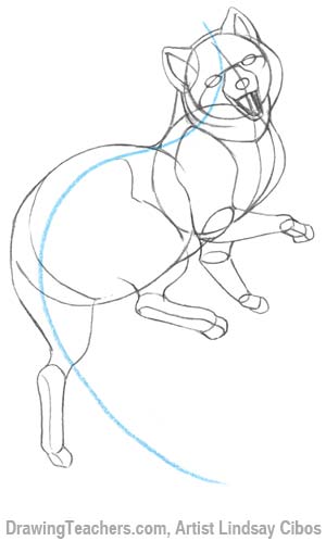 Cartoon Fox - How to Draw a Fox Step by Step