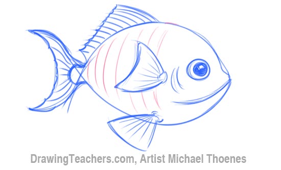 How to Draw a Cartoon Fish 5