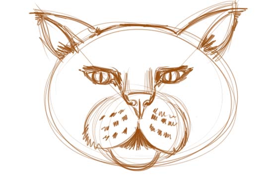 How to Draw a Cat Face Step 5