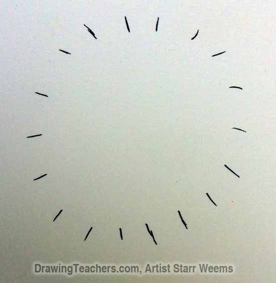 How to Draw a Dandelion 2