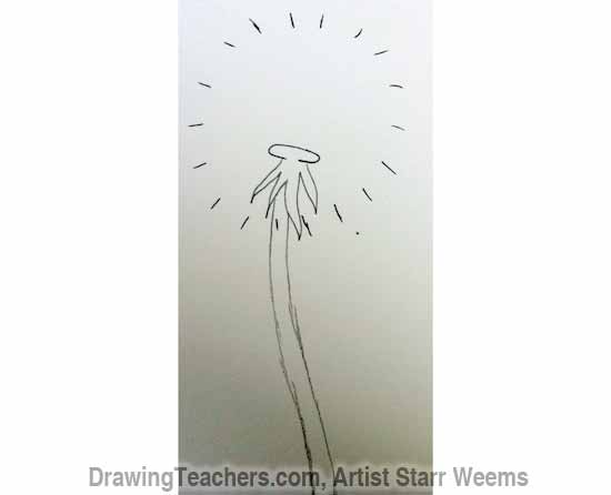 How to Draw a Dandelion 3