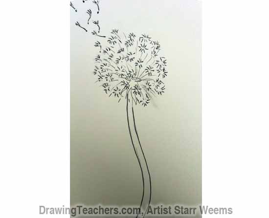 How to Draw a Dandelion 6