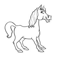 How to Draw a Horse Step 6