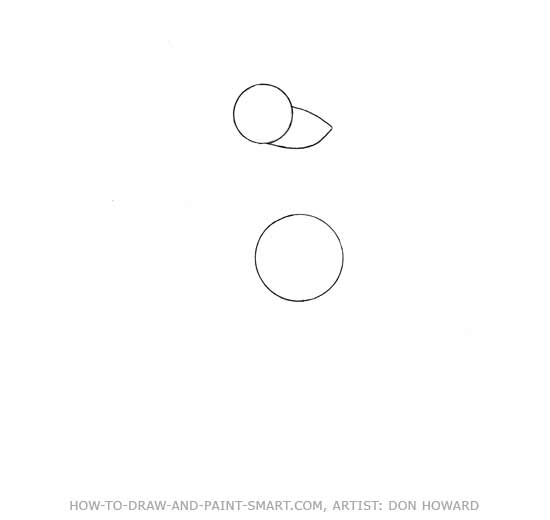 How to Draw a  Kangaroo Step 1