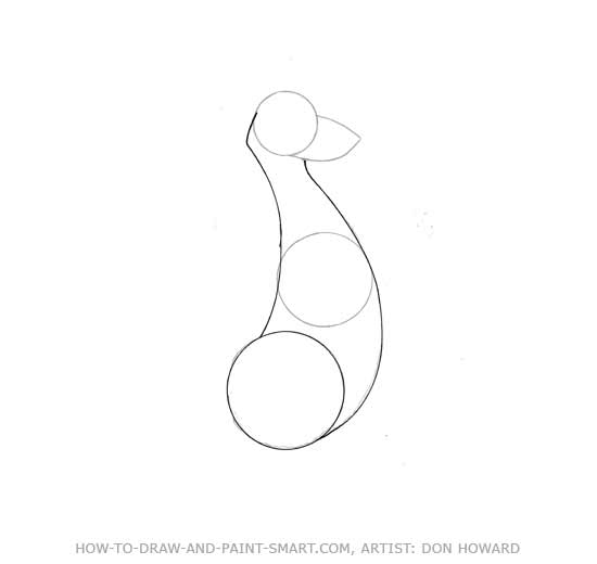 How to Draw a  Kangaroo Step 2