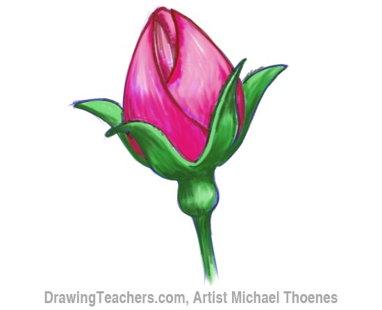 How to Draw a Rosebud 9