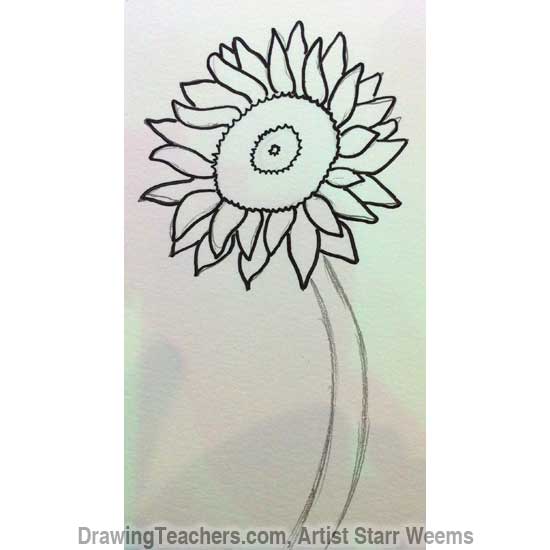 How to Draw a Sunflower 4