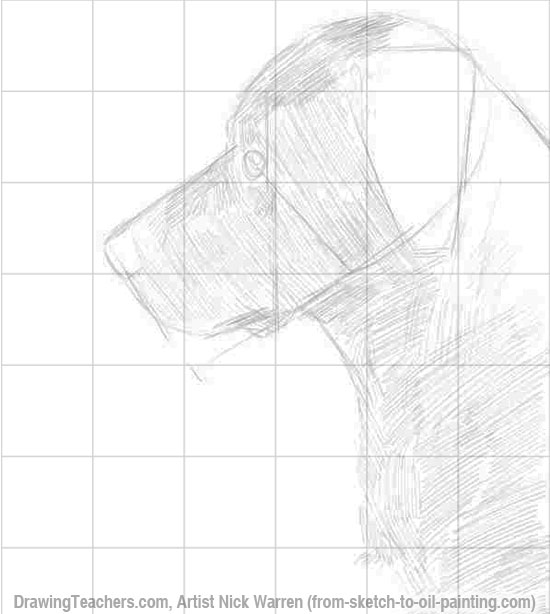 Aprenda a desenhar Cães 3