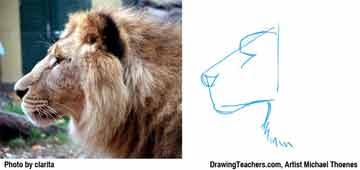 Lion Drawing Step 2 - How to Draw a Lion