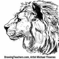 Lion Drawing - How to Draw a Lion