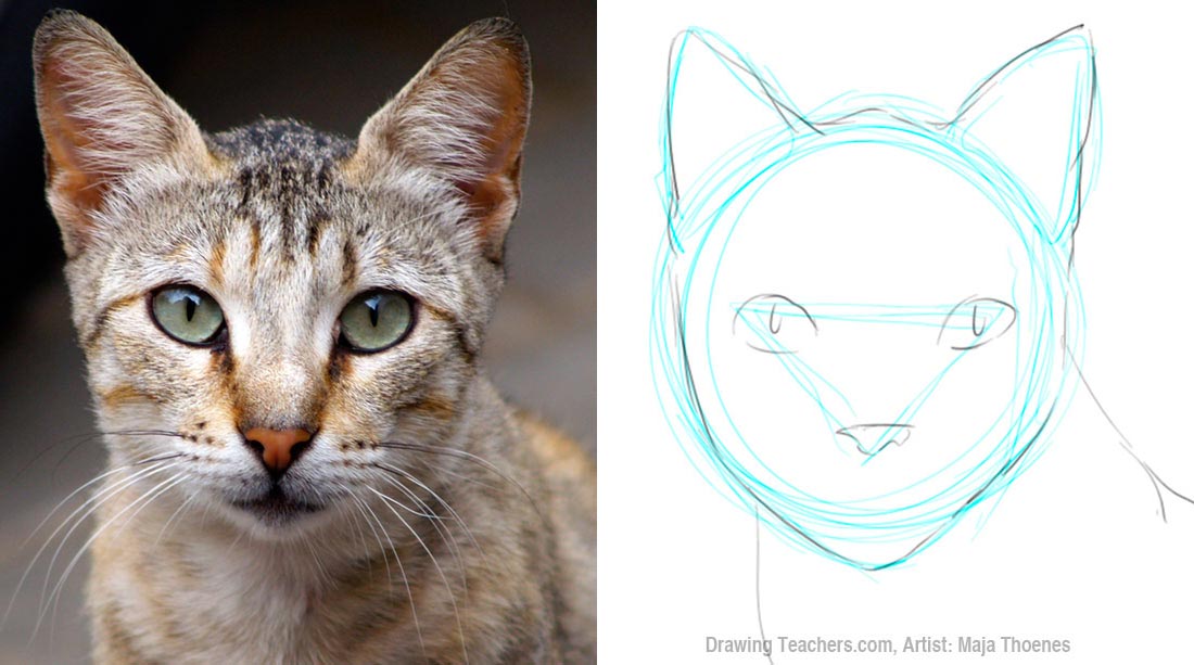 Pictures to Draw Cats - DrawingTeachers.com