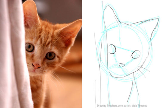 Pictures to Draw Cats