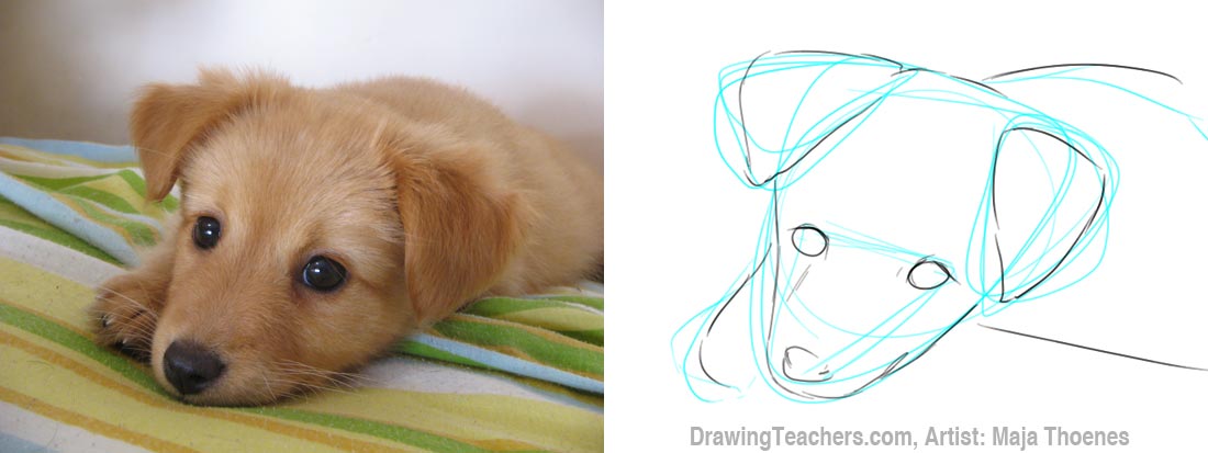 Featured image of post How To Draw A Cute Dog Head : The team of drawing for all does not stop working and create new drawing lessons.