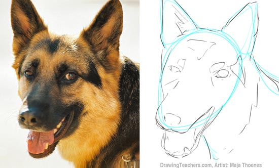 Pictures to Draw Dogs