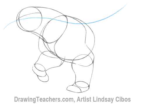How to Draw a Bear Step 3