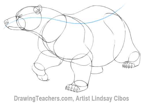 How to Draw a Bear Step 6