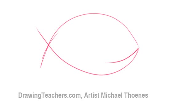 How to Draw a Cartoon Fish 2