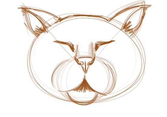 How to Draw a Cat Face Step 4
