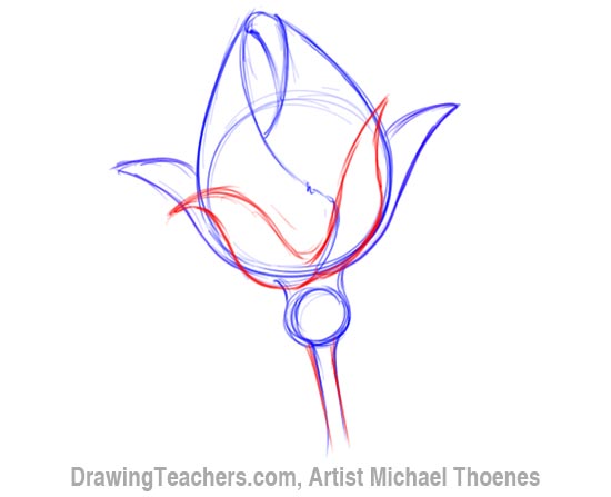 How to Draw a Rosebud 4
