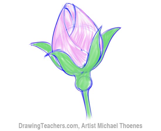 How to Draw a Rosebud 5