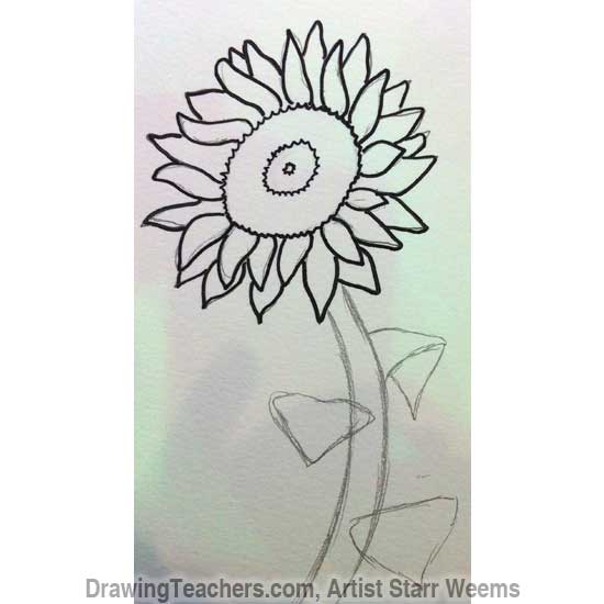 How to Draw a Sunflower 5