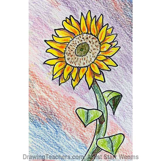 How to Draw a Sunflower 7