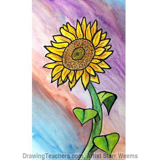 How to Draw a Sunflower 8