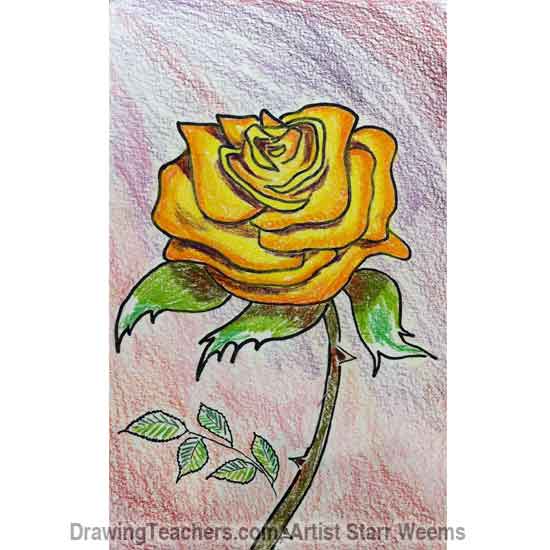 How to Draw Roses