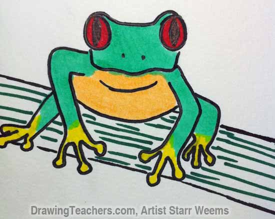 How to Draw a Tree Frog 8