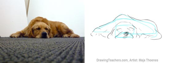Pictures to Draw Dogs