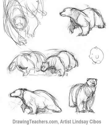 Polar bear Drawings
