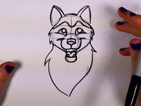 Draw a Husky 07