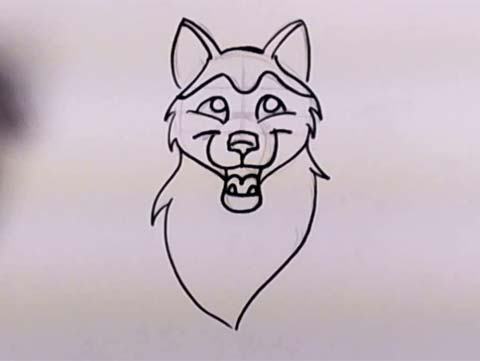How to Draw a Husky