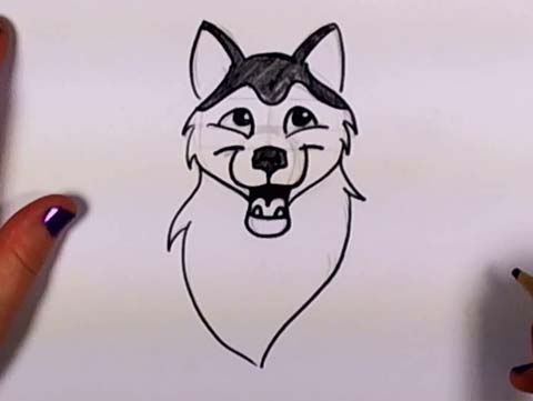 Draw a Husky 09