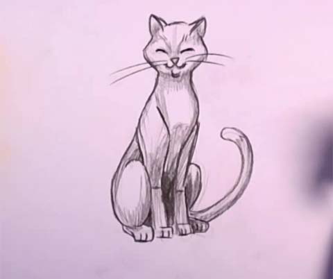 Cat in Pencil 06