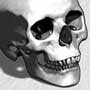 How to Draw Skulls