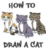 How to Draw a Cat Face