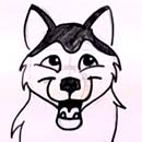 How to Draw a Husky