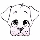 Draw a Cute Puppy Face