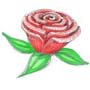 How to Draw a Rose