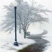 Paths lead the Eyes - Snowy Path