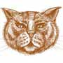 Draw a Cat Face