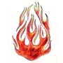 Flames
